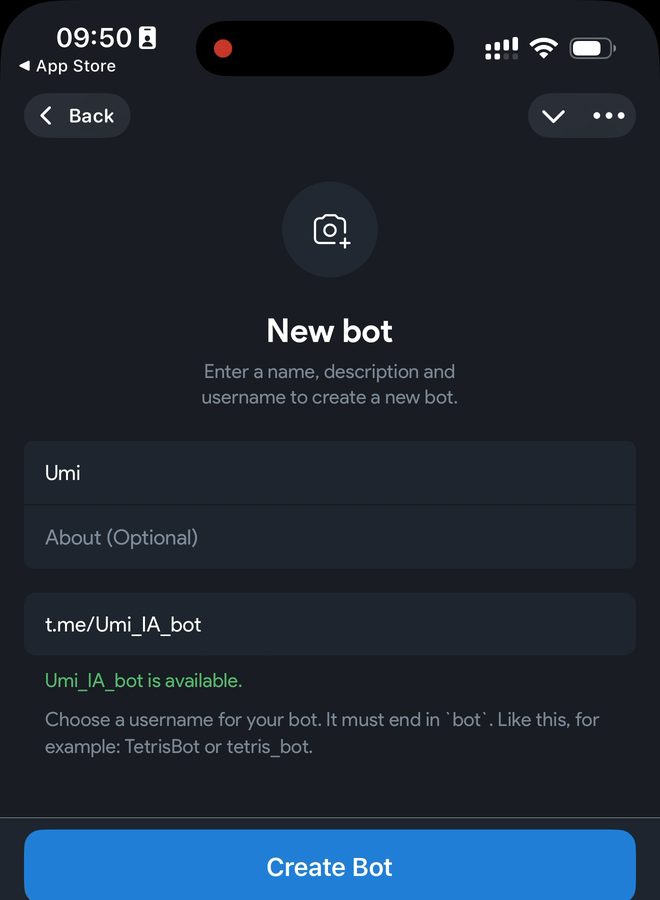 Le formulaire New bot rempli, avec l'identifiant disponible et le bouton Create Bot