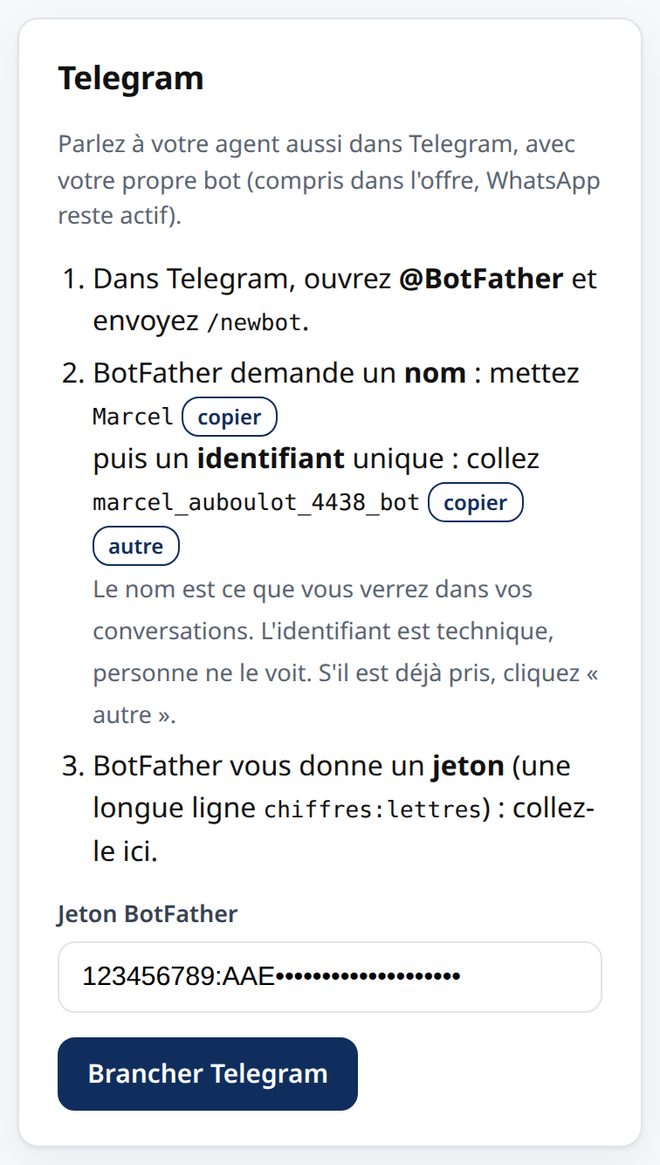 Le bloc Telegram de la page Mes agents, avec le champ du jeton rempli et le bouton Brancher Telegram